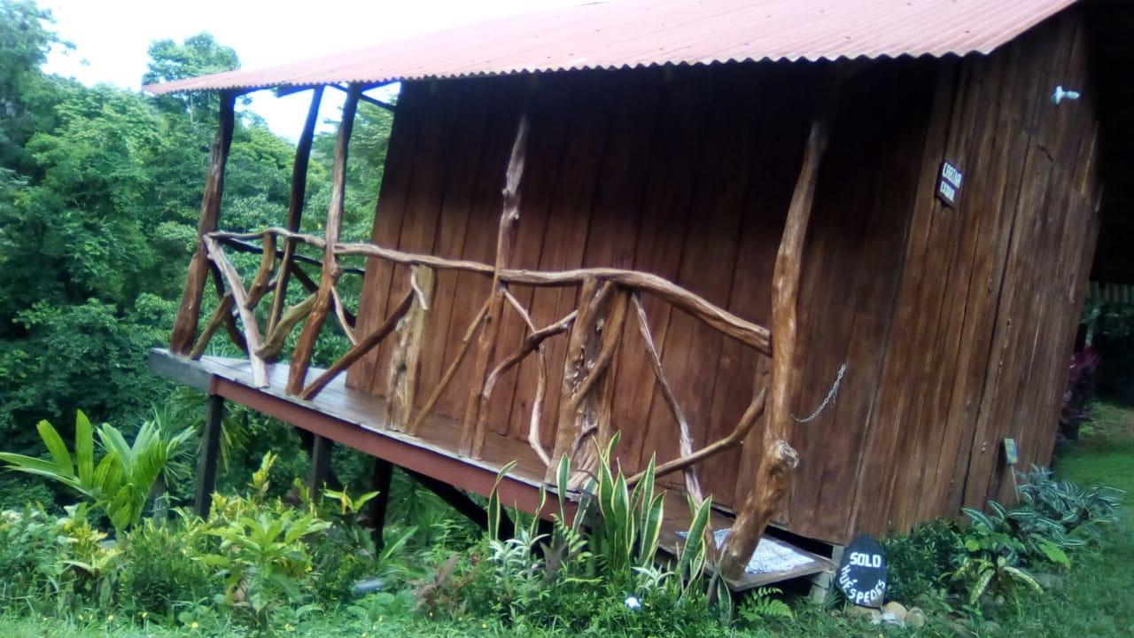 Cabinas Y Restaurante Tilapias La Cascada Hotell Ojochal Exteriör bild